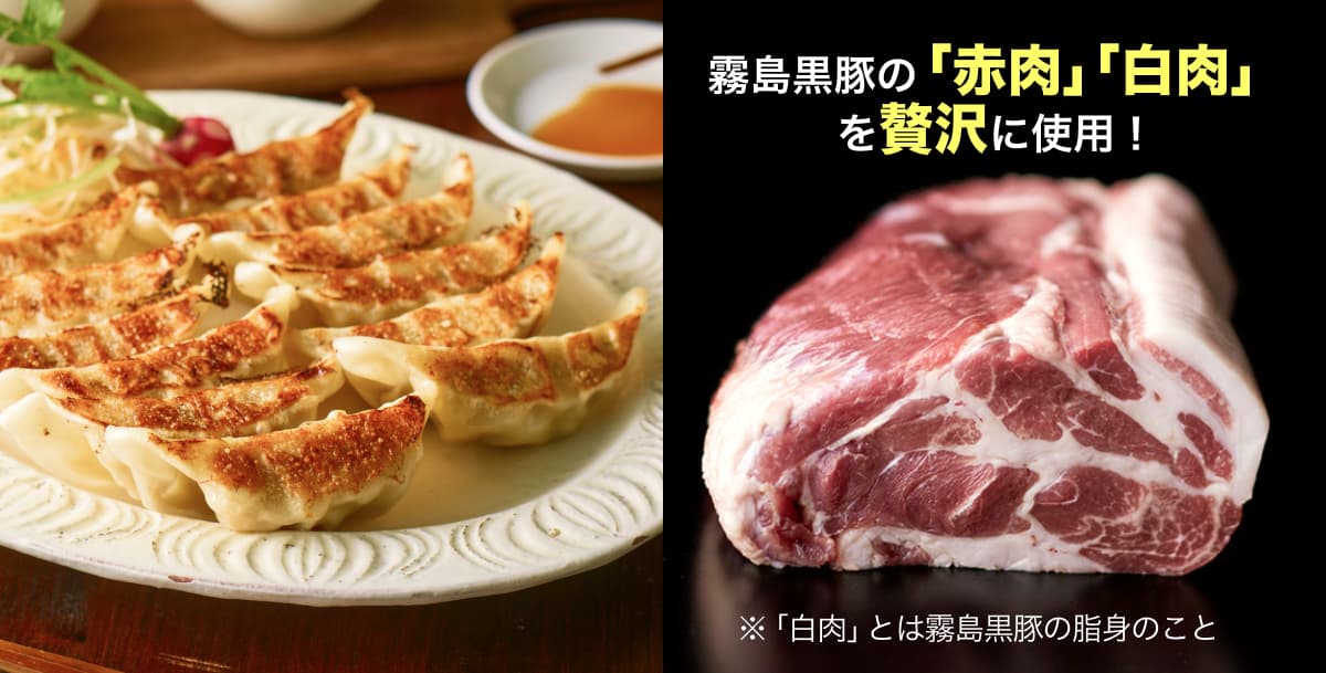 TN-008 霧島黒豚肉餃子6パックセット｜都城の黒豚やサプリなどを通販