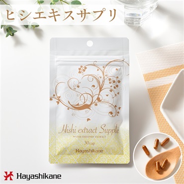 ハヤシライス【12/27～1/6休業】様専用
