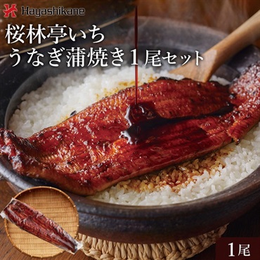 うなぎ 愛知・三河産 特選うなぎ 190g以上×3尾〈通常お届け〉 通販